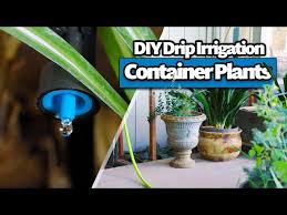 How To Install Drip Irrigation For
