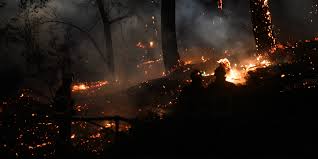 Calendrier fetes pays basque janvier. Pyrenees Atlantiques Grave Incendie En Plein Centre D Anglet Des Habitants Evacues