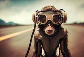 funny monkey dressed as aviator with