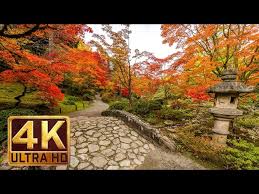 Japanese Garden 4k Resolution 1 Hour