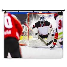 Hockey Wall Decor In Canvas Murals