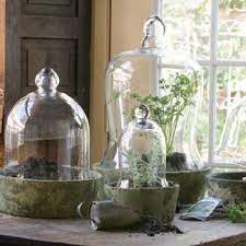 Glass Bell Jar Cloche Domes Succulent