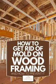 how to get rid of mold on wood framing