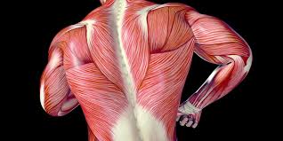 top benefits of fascial stretch therapy