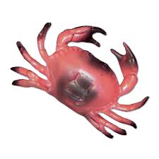 ✔ is easy, no crafting required. Club Pack Of 12 Red And Black Under The Sea Crab Party Decorations 8 Overstock 16645326