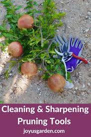 how to sharpen pruning tools 2023 guide