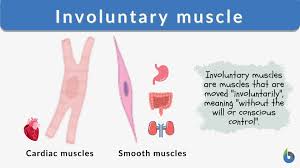 involuntary muscle definition and