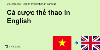 Soi Kèo Trận Việt Nam