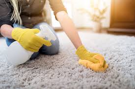 flea spray for homes on carpets