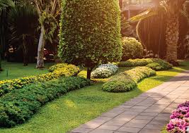 does landscaping increase property