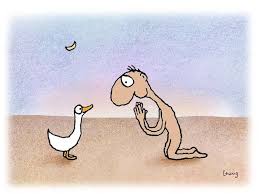 Image result for Leunig Man and duck cartoon