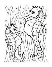 Seahorse lays her eggs on mr. Eric Carle Mister Seahorse Coloring Pages