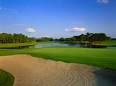 Tampa Bay, FL Public Golf Course | Lansbrook Golf Club