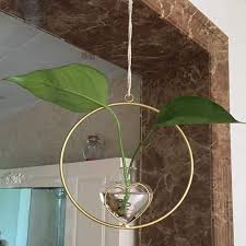 hanging glass planter for indoor plants