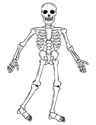 Use these images to quickly print coloring pages. 4 Best Halloween Skeleton Coloring Pages Printables Printablee Com