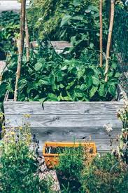 how to build a raised garden bed all