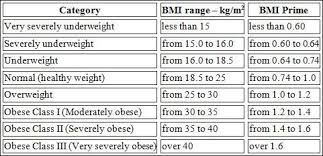 What Is My Bmi And Should I Care