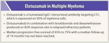 Monoclonal Antibody Promising In Multiple Myeloma The Asco