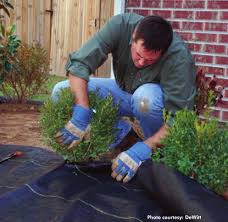Landscape Fabrics To Keep Weeds Away Irrigation And Green