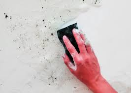 White Fluffy Mould On Interior Walls