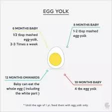 Can I Feed My 5 Month Old Baby Egg Yolk Quora