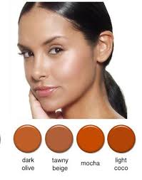 professional airbrush cosmetic makeup
