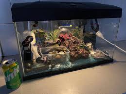 Large Glass Pet Fish Tank Aquarium With