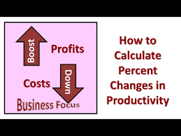 how to calculate percent changes in
