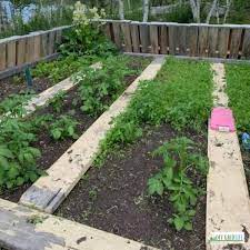How to Plan a Garden For 2023 - An Off Grid Life