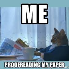 me proofreading my paper - rich cat | Meme Generator