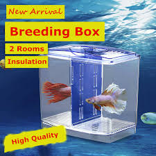 Maybe you would like to learn more about one of these? Top 9 Most Popular Aquarium Ikan Cupang Ideas And Get Free Shipping Mdcf5cne