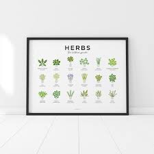 Herbs Guide Print Kitchen Herb Prints