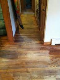 re floors without sanding pro