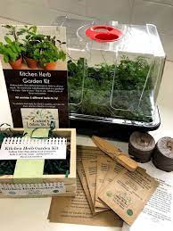 Kitchen Herb Garden Collection Table
