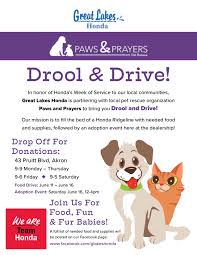 When you adopt a pet, not only are this special program is available for adoptable kittens ages six months or younger who do not have known ongoing medical or behavioral needs. Drool And Drive Adoption Event Great Lakes Honda Paws And Prayers