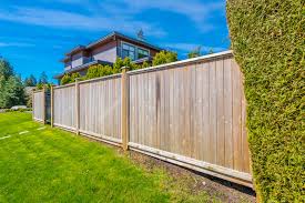 Garden Fencing Guide Everything You