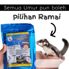 But they do require frequent handling to keep them tame, along with ample space for exercise. Sugar Glider Cdf Best Sugar Gliders Makanan Sesuai Rekemen Semua Beli Mudah Jaga Shopee Malaysia