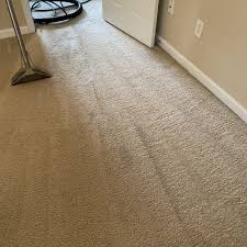 top 10 best green carpet cleaners in
