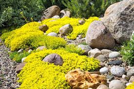 How To Build A Rockery For Your Garden