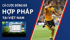 Hiểu biết về luật cá độ bóng đá ở Việt Nam hiện nay