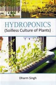 hydroponics soilless culture of plants