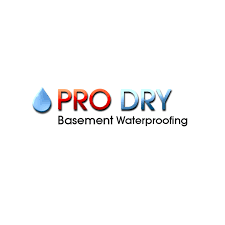 wet basement waterproofing companies in