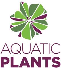 Aquatic Plants New Zealand S Best