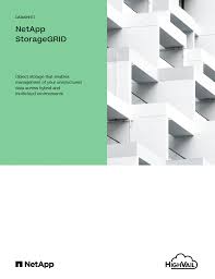 highvail netapp storagegrid future