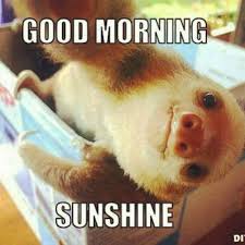 Hope your day is filled with smiles, laughter, photographs and sun, maybe a little beach too. Funny Good Morning Meme Cute And Beautiful Pictures For Him Her