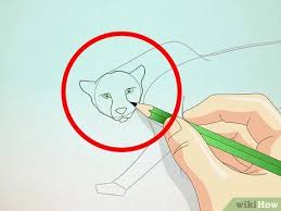 Join the smaller oval, or head with the larger oval, with simple lines as shown in the picture, and you will have the ears and neck of you cheetah. How To Draw A Cheetah 13 Steps With Pictures Wikihow