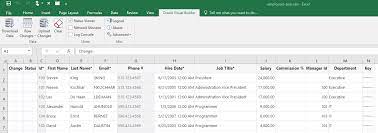 view and edit data using an excel workbook