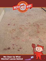 photo gallery red hot carpet cleaning