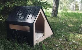 Outdoor Dog House Design Ideas Your Pet