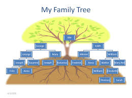 Me And My Ancestors My Family Tree